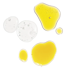 The Antioxidant Collection
